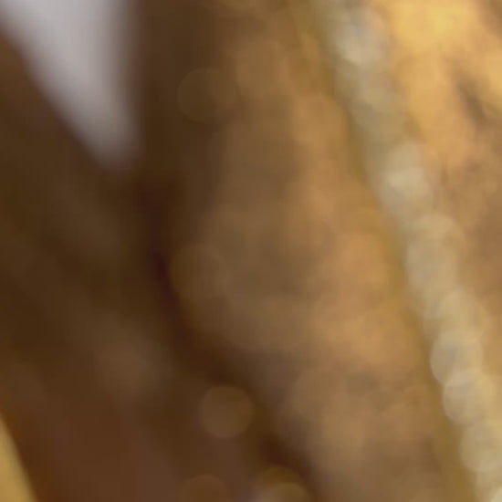 Video of brown shimmer leather earrings with gold rhinestone tassels concert wear 